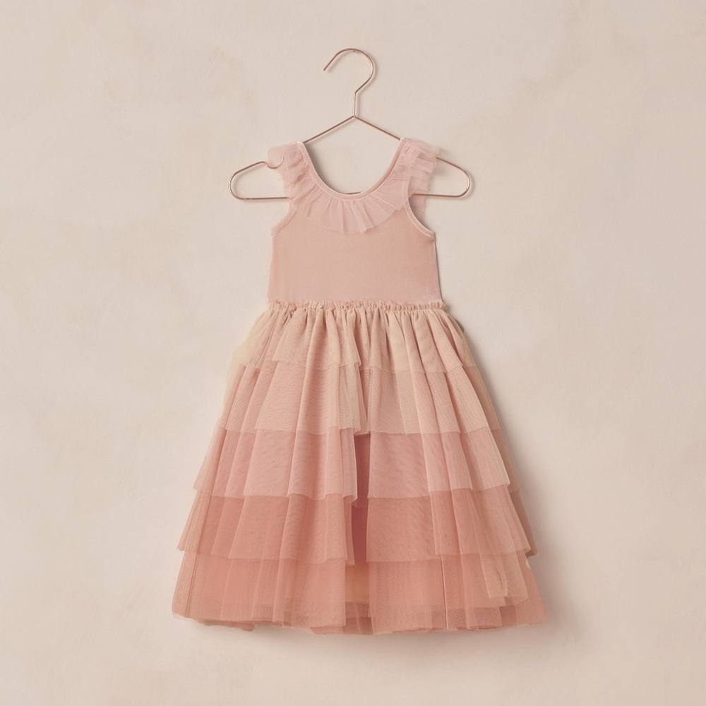 Noralee Girls Pixie Dress in Pink Ombré NWT